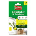 Nexa Lotte Leimfallen zur Bekämpfung von Schädlingen an Zierpflanzen
