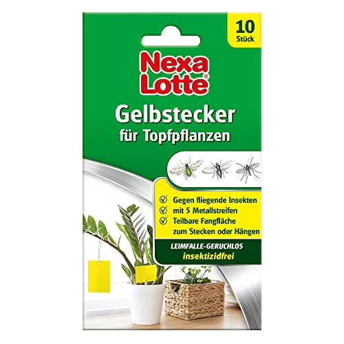 Nexa Lotte Leimfallen zur Bekämpfung von Schädlingen an Zierpflanzen