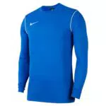 Nike Park20 Trikot - Universitätsrot/Weiß