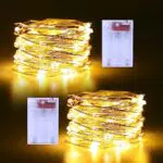 Echosari Lichterkette mit Batterien, 5m, 50 LED, 2 Modi für Garten und Party Deko