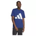 adidas Herren Essentials Big Logo Single Jersey Tee