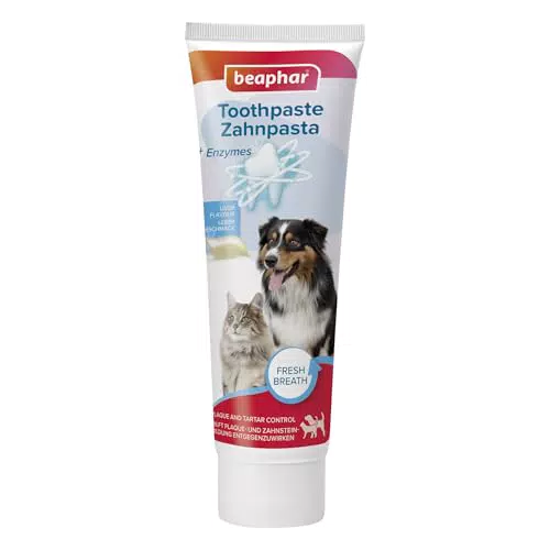 Beaphar Zahnbürste - Für Hunde und Katzen - Mit speziellem Borstenschnitt für gründliche und schonende Reinigung - 1 Stück