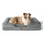 Bedsure orthopädisches Hundebett Ergonomisches Hundesofa - 71x58 cm Hundecouch mit eierförmiger Kistenschaum für kleine Hunde