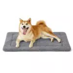 BEDSURE waschbare Hundematte für mittelgroße Hunde mit Schaumstofffüllung