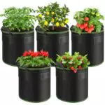 Enbagold Pflanzsack aus Vliesstoff für Tomaten, Kartoffeln und Erdbeeren