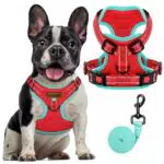FAYOGOO Hundegeschirr mit Frontclip, verstellbare No-Pull Weste für Hunde