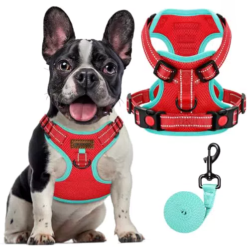 FAYOGOO Hundegeschirr mit Frontclip, verstellbare No-Pull Weste für Hunde