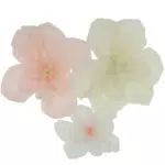 Folat 24328 Tischdekoration Blumen Set für Hochzeiten und Feiern
