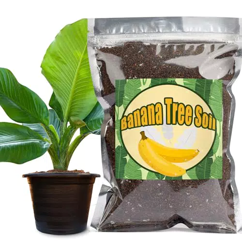GOTVUGE Bio-Bananenbaum-Pflanzmischung für Innen- und Außenbereich