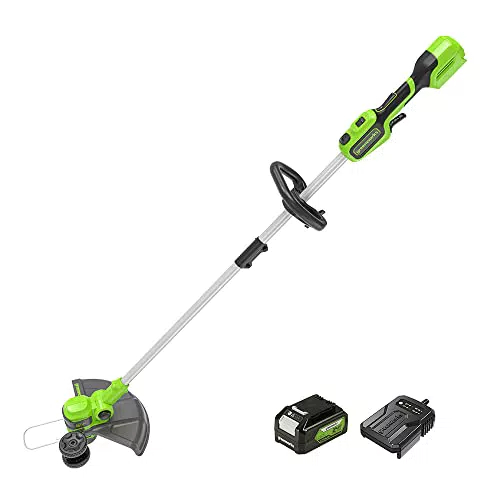 Greenworks G24LT30K2 24V Akku Rasentrimmer für kleine bis mittelgroße Gärten