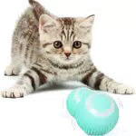 Katzenspielzeug Ball – Interaktives Elektrisches Intelligenzspielzeug für Katzen