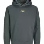JACK&JONES JCOALPHA Sweatshirt mit Bergmotiv und Kapuze