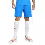 PUMA Herren Shorts – Komfortabel und stilvoll für aktive Freizeit