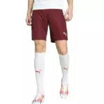 PUMA Teamliga Shorts – Hochwertige Boardshorts für Sport und Freizeit