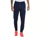 Puma Unisex-Adult teamRISE Poly Trainingshose