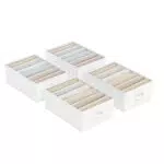 SONGMICS Kleiderschrank Organizer, Aufbewahrungsbox mit 6 Fächern, faltbar