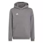 adidas Entrada 22 Sweat Hoodie für Kinder