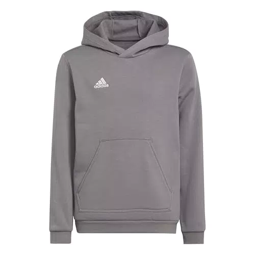 adidas Entrada 22 Sweat Hoodie für Kinder