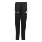 adidas Kinder Pant Mercedes-AMG Petronas Formel 1 Team DNA