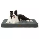 BEDSURE orthopädisches Hundekissen 2 in 1 mit Memoryschaum für große Hunde