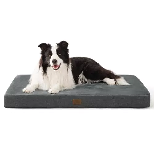 BEDSURE orthopädisches Hundekissen 2 in 1 mit Memoryschaum für große Hunde