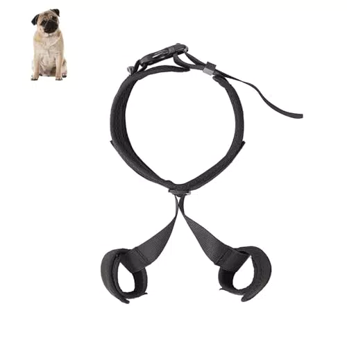 BWLEANSY Hunde Gelenkbandage für Hüftdysplasie und Schmerzlinderung