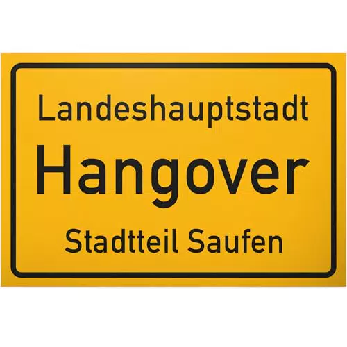 DankeDir! Lustiges Hangover-Schild für Männer – Originelles Geschenk für Partys