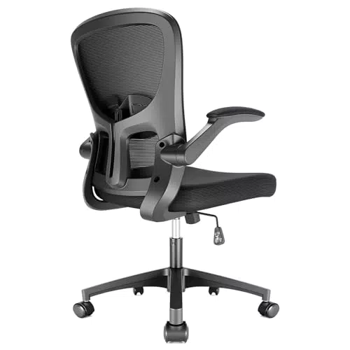 Durrafy Ergonomischer Bürostuhl mit verstellbaren Armlehnen und Lendenwirbelstütze