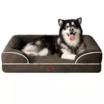 Orthopädisches Hundebett von EHEYCIGA mit Memory Foam für große und mittelgroße Hunde - Waschbar, wasserdicht und rutschfest - Hundecouch mit hohem Rand