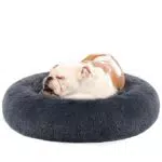 Hundebett von Feandrea - Flauschiges Katzenbett mit Donut Kissen