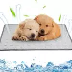fuzhik Kühlmatte für Haustiere – Selbstkühlende Matte für Katzen und Hunde