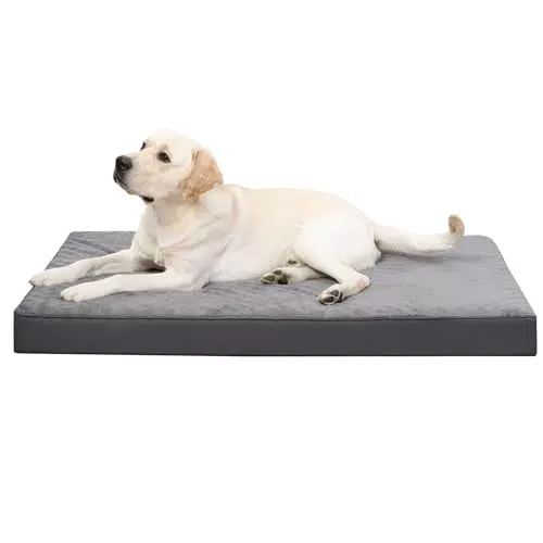 KSIIA Orthopädisches Hundebett für große Hunde, abnehmbarer Bezug, waschbar