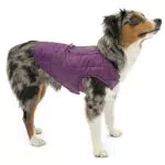 Kurgo Loft Hundejacke - Wasserdicht, Reflektierend, Ideal für den Winter