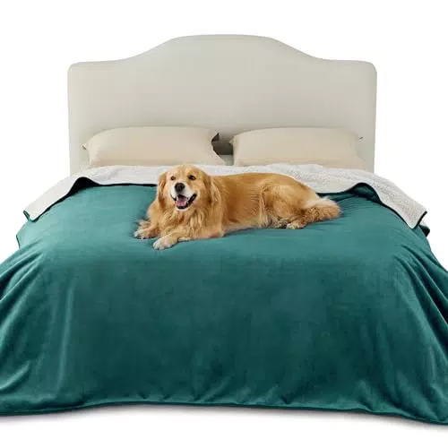 Lesure wasserdichte Hundedecke kleine Hunde - 80x60cm Outdoor Hundedecke waschbar