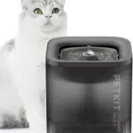 PETKIT CYBERTAIL Katzen Trinkbrunnen - Leiser Hundewasserspender mit LED-Licht