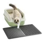 Pieviev Katzenstreu Matte wasserdicht, rutschfest und leicht zu reinigen