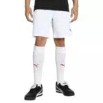 PUMA Teamliga Shorts für Herren – Sportliche Freizeitbekleidung