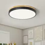 Qamra LED Deckenlampe 30cm, Flach Deckenleuchte 24W für Wohnzimmer und Küche