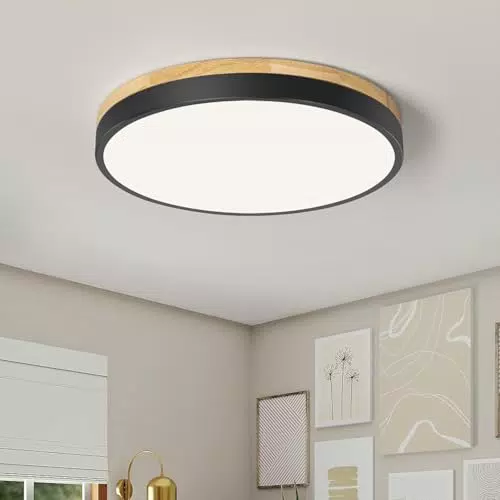 Qamra LED Deckenlampe 30cm, Flach Deckenleuchte 24W für Wohnzimmer und Küche