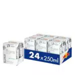 Red Bull Energy Drink White Edition mit Kokos-Blaubeere-Geschmack