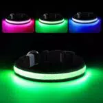 RUXAN LED Hundehalsband USB Aufladbar, Wasserdicht und Sicher für Nachtspaziergänge