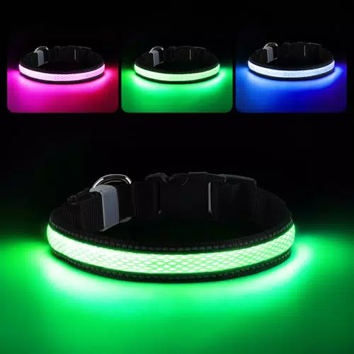 RUXAN LED Hundehalsband USB Aufladbar, Wasserdicht und Sicher für Nachtspaziergänge