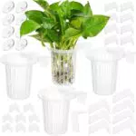 Borlech Aquarium Pflanzenhalter mit Haken und Saugnäpfen für Aquascaping