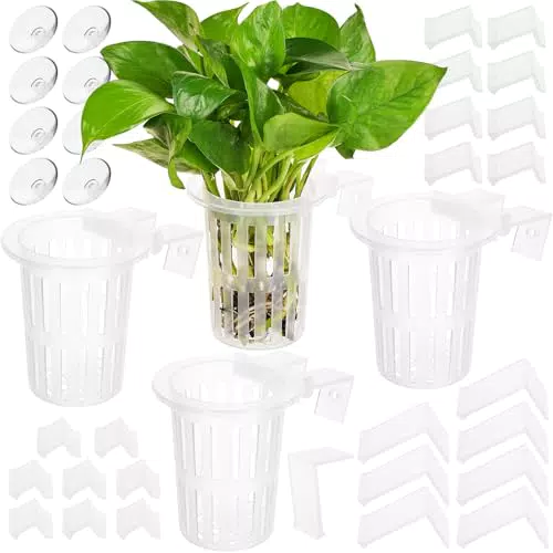 Borlech Aquarium Pflanzenhalter mit Haken und Saugnäpfen für Aquascaping