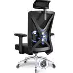 Daccormax Ergonomischer Bürostuhl mit Verstellbaren Armlehnen und Lendenstütze