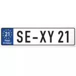 DankeDir! Sexy 21 Jahre Schild - Geburtstagsgeschenk & Partydeko für 21. Geburtstag