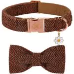 Elegant Little Tail Halloween Hundehalsband mit Schleife für kleine Hunde