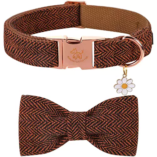 Elegant Little Tail Halloween Hundehalsband mit Schleife für kleine Hunde