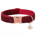 Elegant Little Tail Hundehalsband – Weiches und langlebiges Fischgräten-Design