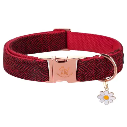 Elegant Little Tail Hundehalsband – Weiches und langlebiges Fischgräten-Design
